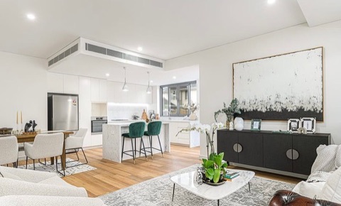 Apollo Hardwood Blackbutt in Wahroonga