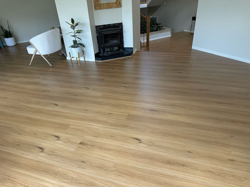 Wide open living area in blackbutt hybrid