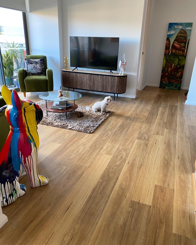 Blackbutt hybrid earning the dog's approval