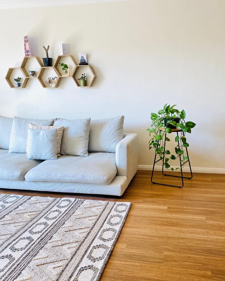Spotted gum hybrid warms the living room