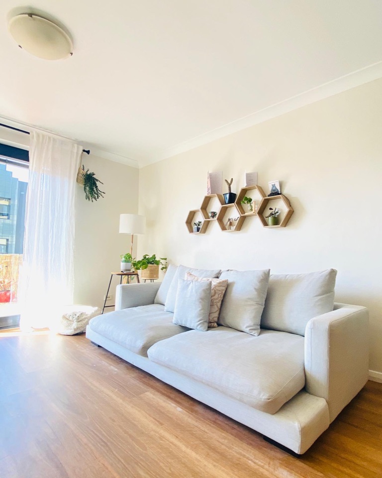 Warm spotted gum hybrid in a light-filled living room