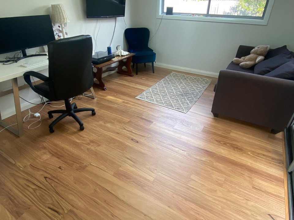 The study set up on blackbutt boards